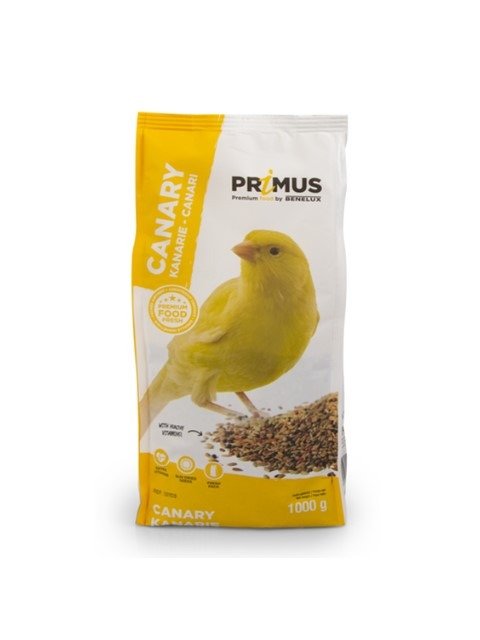 benelux primus canary 1