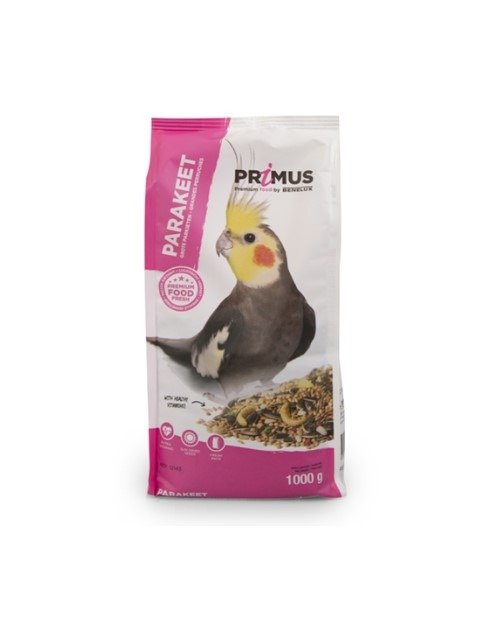 benelux primus parakeet 1