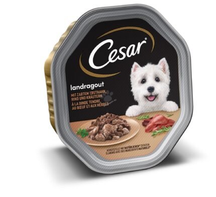 Cesar пастет за кучета с пуешко и говеждо, 150 гр.