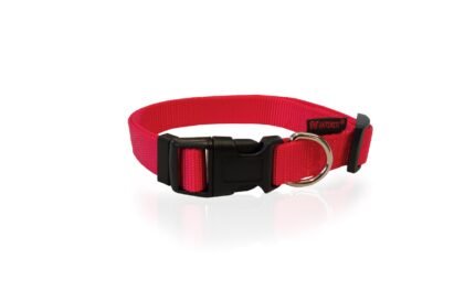 Pet Interest Dog Collar нашийник за куче, размер M –  2 mm * 32-50 cm
