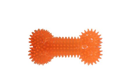 Играчка за куче Pet Interest Cool Bone с пищялка, 16.7 см.