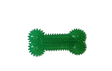 Играчка за куче Pet Interest Cool Bone с пищялка,  20.3 см.