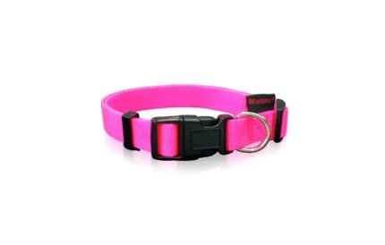 Pet Interest Dog Collar нашийник за куче, размер XS - 1 mm * 19-33cm