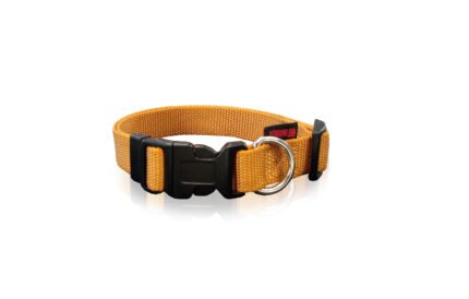 Pet Interest Dog Collar нашийник за куче, размер S - 1.5 mm * 22-40cm