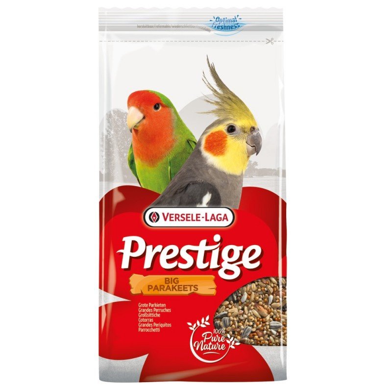 versele laga prestige sredni papagali 1