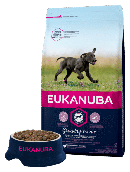 Eukanuba Puppy Large Breed храна за подрастващи кучета от големи породи 12 кг